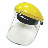 Face Protection